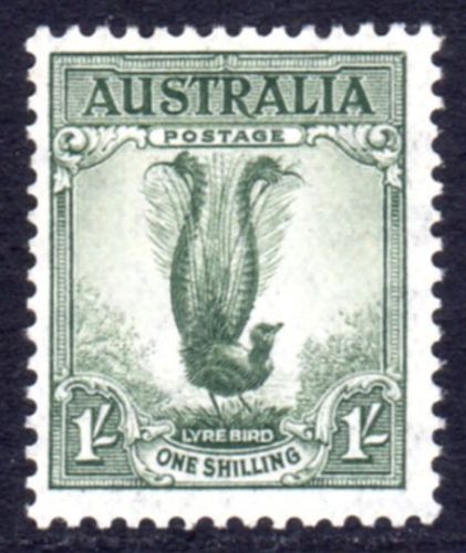Animals on Stamps Australia  1937 1c Grey-green Lyrebird stamp  SG 174   Scott #175
