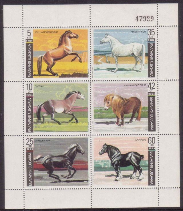 BULGARIA 1981 HORSE horses on stamps  animals on stamps wildlife stamps topical stamp collecting thematic stamp collector  collecting postage stamps as a hobby horse breeds types of horses stamp collector of fauna wild animals on stamps wildlife on stamps mammals on stamps postage stamps of the world   