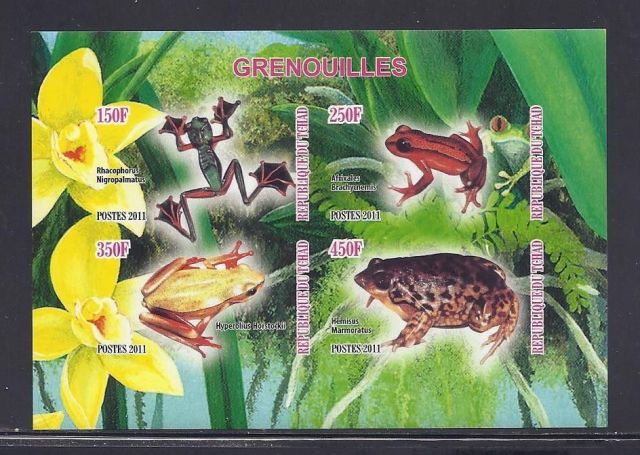 Chad Tropical Frogs Souvenir Sheet 