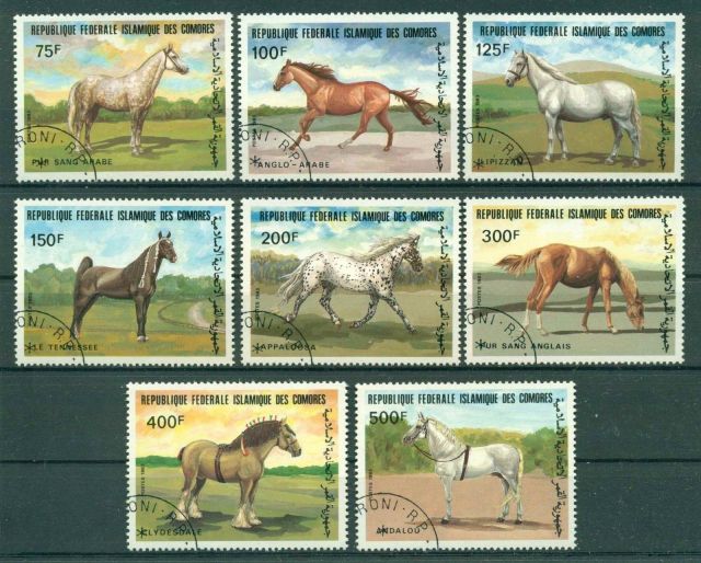 COMORES 1983 HORSES  postage stamps  horses on stamps  animals on stamps wildlife stamps topical stamp collecting thematic stamp collector  collecting postage stamps as a hobby horse breeds types of horses stamp collector of fauna wild animals on stamps wildlife on stamps mammals on stamps postage stamps of the world