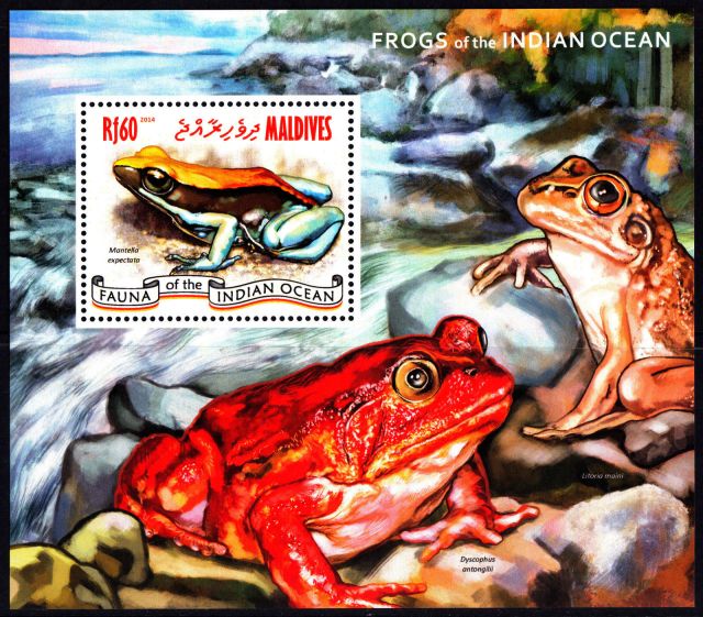 Maldives 2014 Frogs Souvenir Sheet animals on stamps fauna stamps wildlife stamps topical stamp collector thematic stamp collection postage stamp collecting  wildlife on stamps frogs on stamp