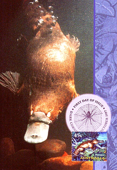 USTRALIA - 1997 CREATURES OF THE NIGHT  -  MAXI CARD  Duck-billed Platypus  Ornithorhynchus anatinus  zoological stamps  animals on stamps wildlife stamps Australian postage stamps topical stamp collection thematic stamp collecting mammals on stamps fauna on stamps philatelist  philatelic collection  philatelic collector stamp collecting for beginners Australian wildlife Australian fauna Australia topical stamp collecting 