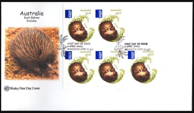 AUSTRALIA 2013  WCS ECHIDNA BOOKLET COVER    animal stamp wildlife stamp topical stamp collecting thematic stamp collecting Australian wildlife postage stamps  spiny anteater collecting postage stamps  Australian spiny anteater  echidna Short-beaked echidna Tachyglossus aculeatus  