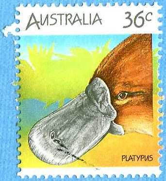 Australian 1986 36c Platypus Stamp   Ornithorhynchus anatinus  zoological stamps  animals on stamps wildlife stamps Australian postage stamps topical stamp collection thematic stamp collecting mammals on stamps fauna on stamps philatelist  philatelic collection  philatelic collector stamp collecting for beginners Australian wildlife Australian fauna Australia topical stamp collecting  