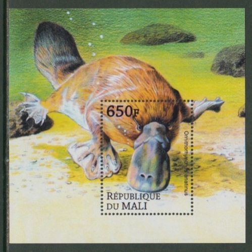 Mali - Platypus - Wild Animals - SS stamp  Ornithorhynchus anatinus  zoological stamps  animals on stamps wildlife stamps Australian postage stamps topical stamp collection thematic stamp collecting mammals on stamps fauna on stamps philatelist  philatelic collection  philatelic collector stamp collecting for beginners Australian wildlife Australian fauna Australia topical stamp collecting  