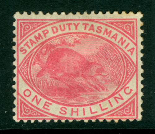 TASMANIA Scott# AR27 1880 Stamp duty  PLATYPUS   Duck-billed platypus   Ornithorhynchus anatinus    zoological stamps  animals on stamps wildlife stamps Australian postage stamps topical stamp collection thematic stamp collecting mammals on stamps fauna on stamps philatelist  philatelic collection  philatelic collector stamp collecting for beginners Australian wildlife Australian fauna Australia topical stamp collecting 